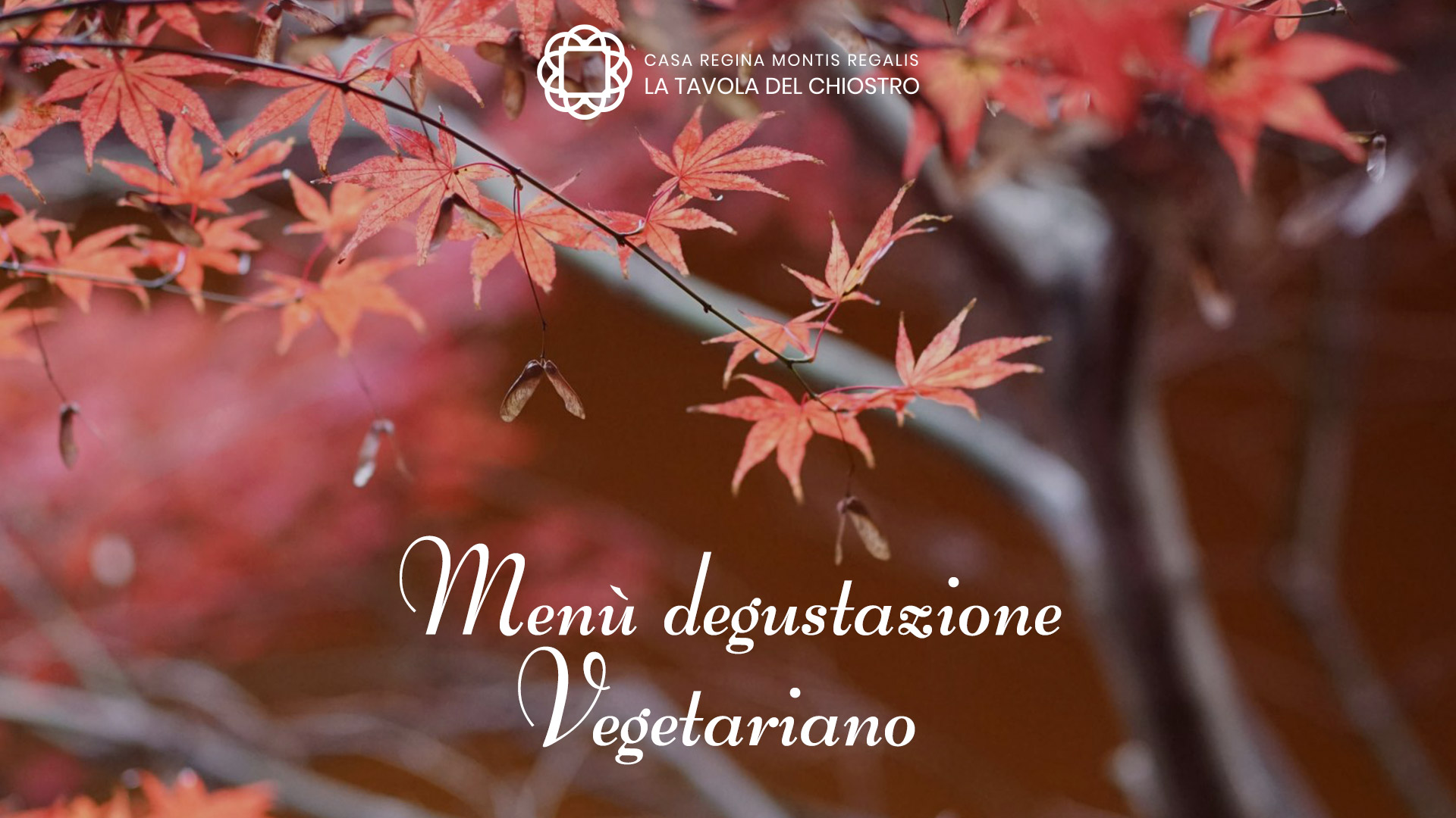 Menu degustazione – Vegetariano